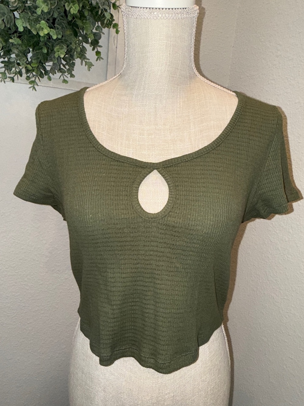American Eagle Crop Top